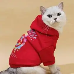 Hoodie S