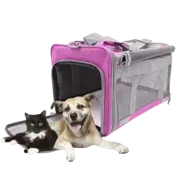 Pet Carrier Bag 46x30x30 CM