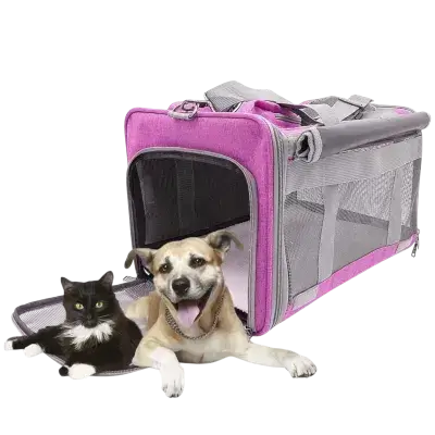 Pet Carrier Bag 46x30x30 CM