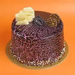 Medium Cocoa Cake Mold 2