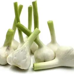 Wet Garlic 