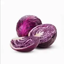 Red Cabbage