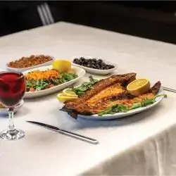Salmon Fish