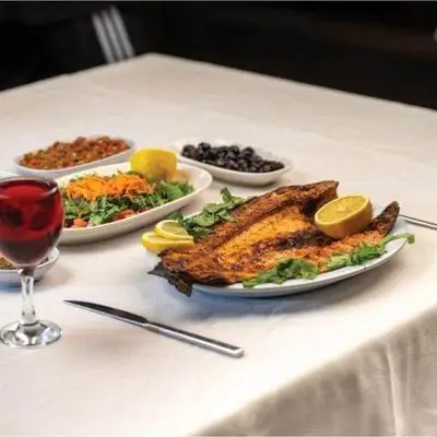 Salmon Fish