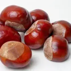 kestana