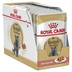 British Shorthair Adult 12Pcs