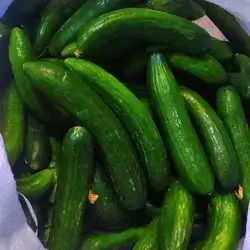 Local Cucumber