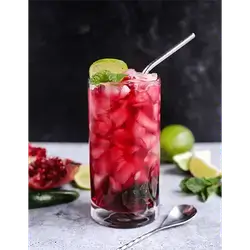 Pomegranate Mojito
