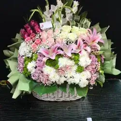Basket Of Flowers-Colors