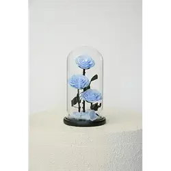 3 Natural Flowers