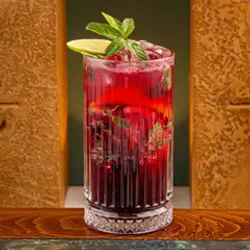 Blueberry Mojito