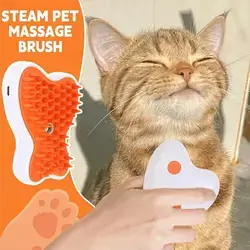 Cleaning And Massage