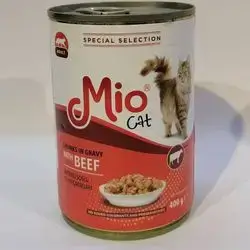 Milo Cat