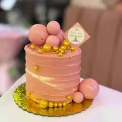 Mini Cake 5