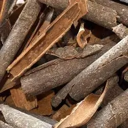 Cinnamon