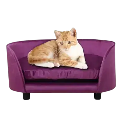 Sofa Pet Bed Purple
