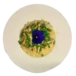 Orzo Risotto