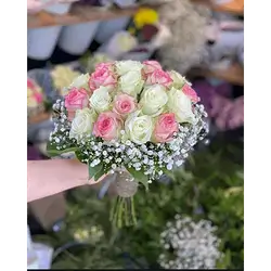 18 Rose