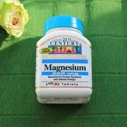 21st Century Magnesium 250 mg - 110 Tablets