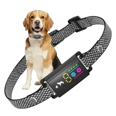 Dogs Anti Bark Collar