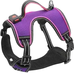 Light Up Dog Harness