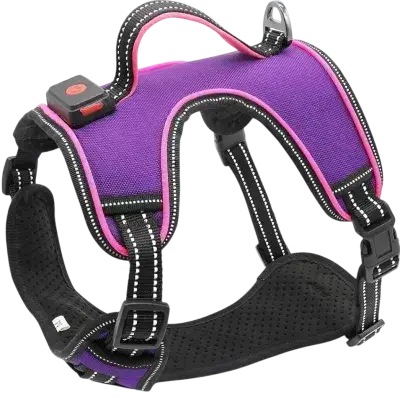 Light Up Dog Harness