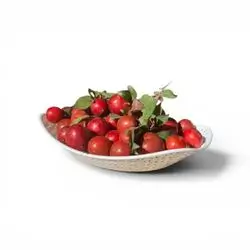 Red plum