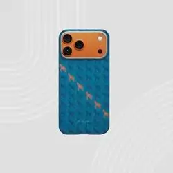 Pitaka case