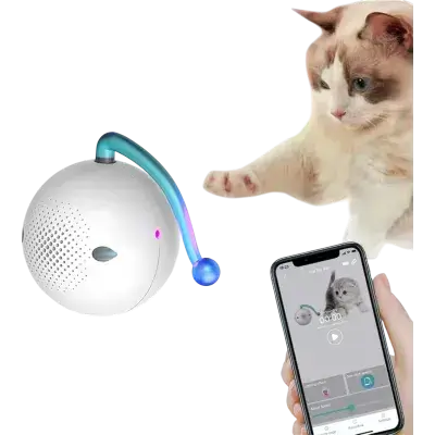 IGERESS Interactive Cat Toy