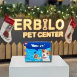 Winston 4 Taste 12×100g 