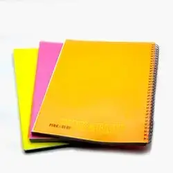 Pink and bue 100 page notebooks