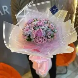 Baby Rose