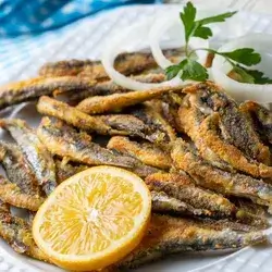 Hamsi