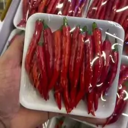 Scoville Pepper