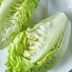 Lettuce