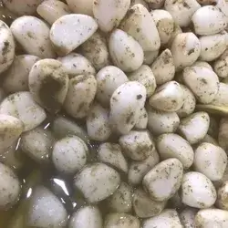 Garlic  With Thyme