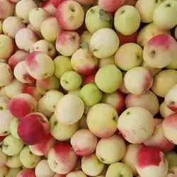 ​Green sour apples