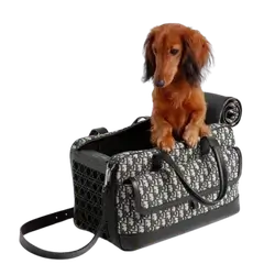 E149 pet cage bag
