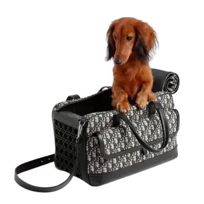 E149 pet cage bag