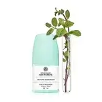 Fresh Deodorant Mint Extract 50ml