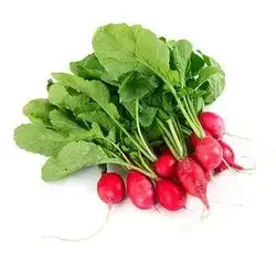 Radish