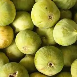 Melon 2 Kg