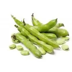Broad Beans