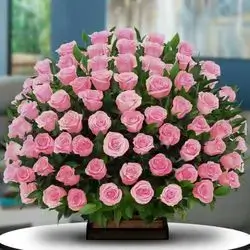 Box Rose