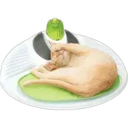 Cat Toy