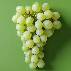 White Grapes