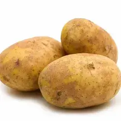 Potato