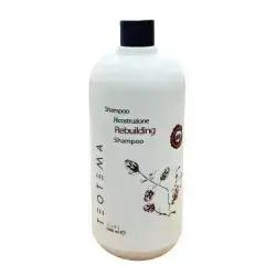 teotema ricostruzione rebuilding shampoo 1000ml