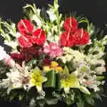 Basket Flower