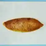 Pastrma